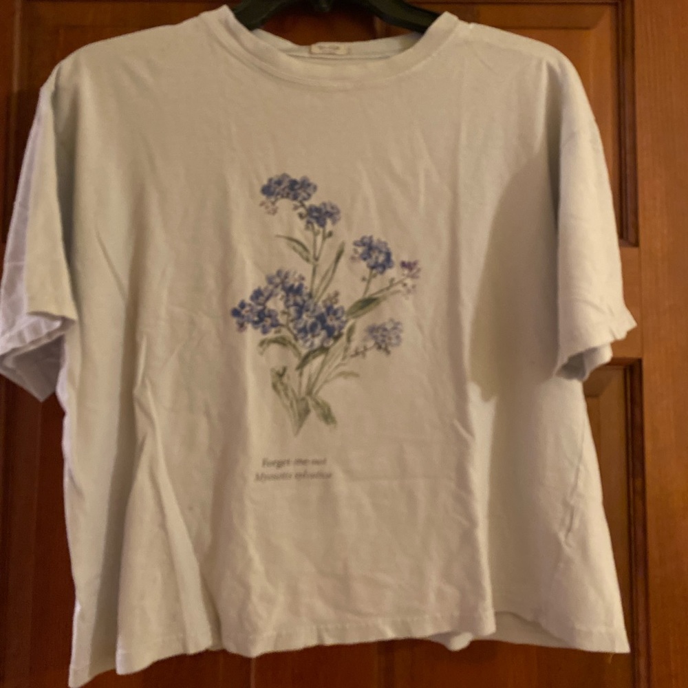 Brandy Melville Crop T-shirt